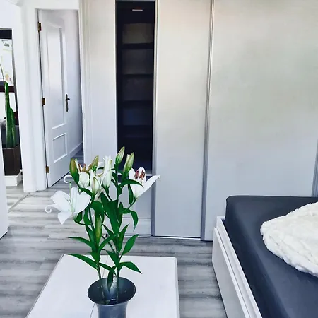 Apartamento Penthouse Valle Gran Rey